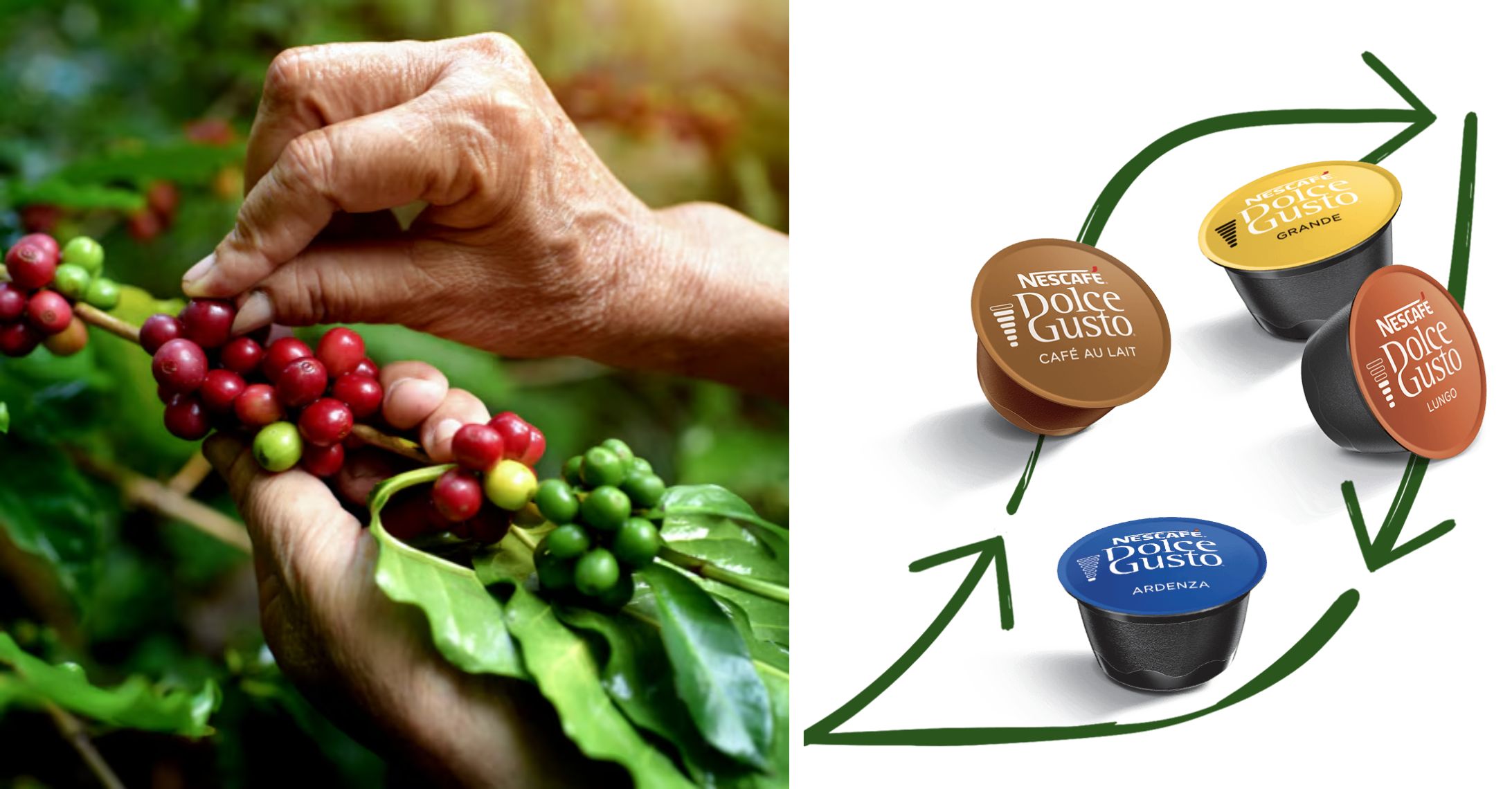 od zrna po kapsli Dolce Gusto